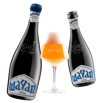 Wayan - Image 3